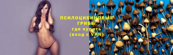 ECSTASY Карпинск