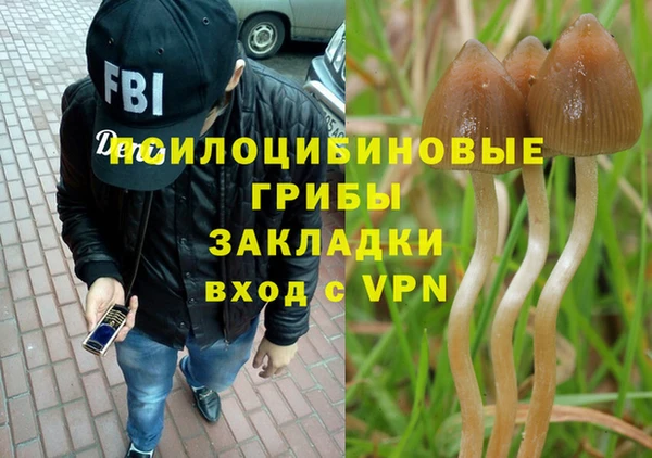 ECSTASY Карпинск