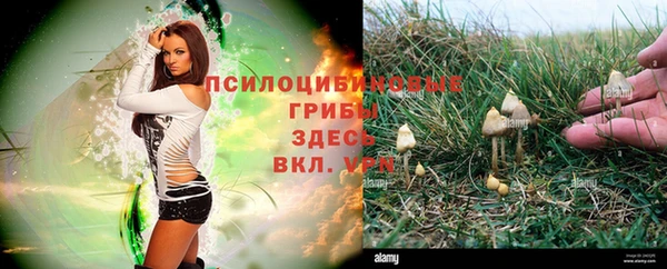 ECSTASY Карпинск