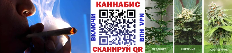 Купить закладки  Жиздра  Марихуана AK-47 